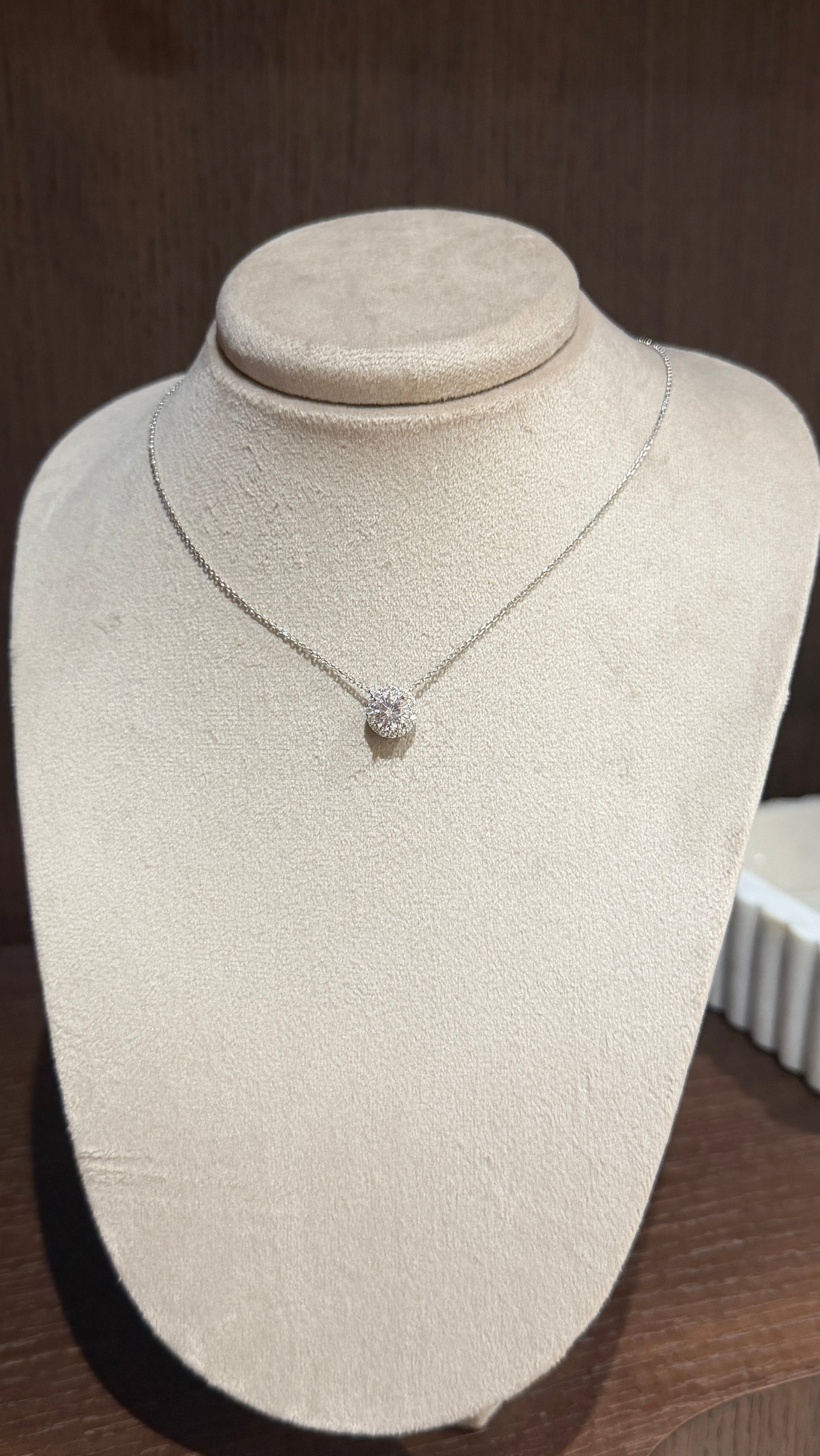 Sole Zircon Necklace