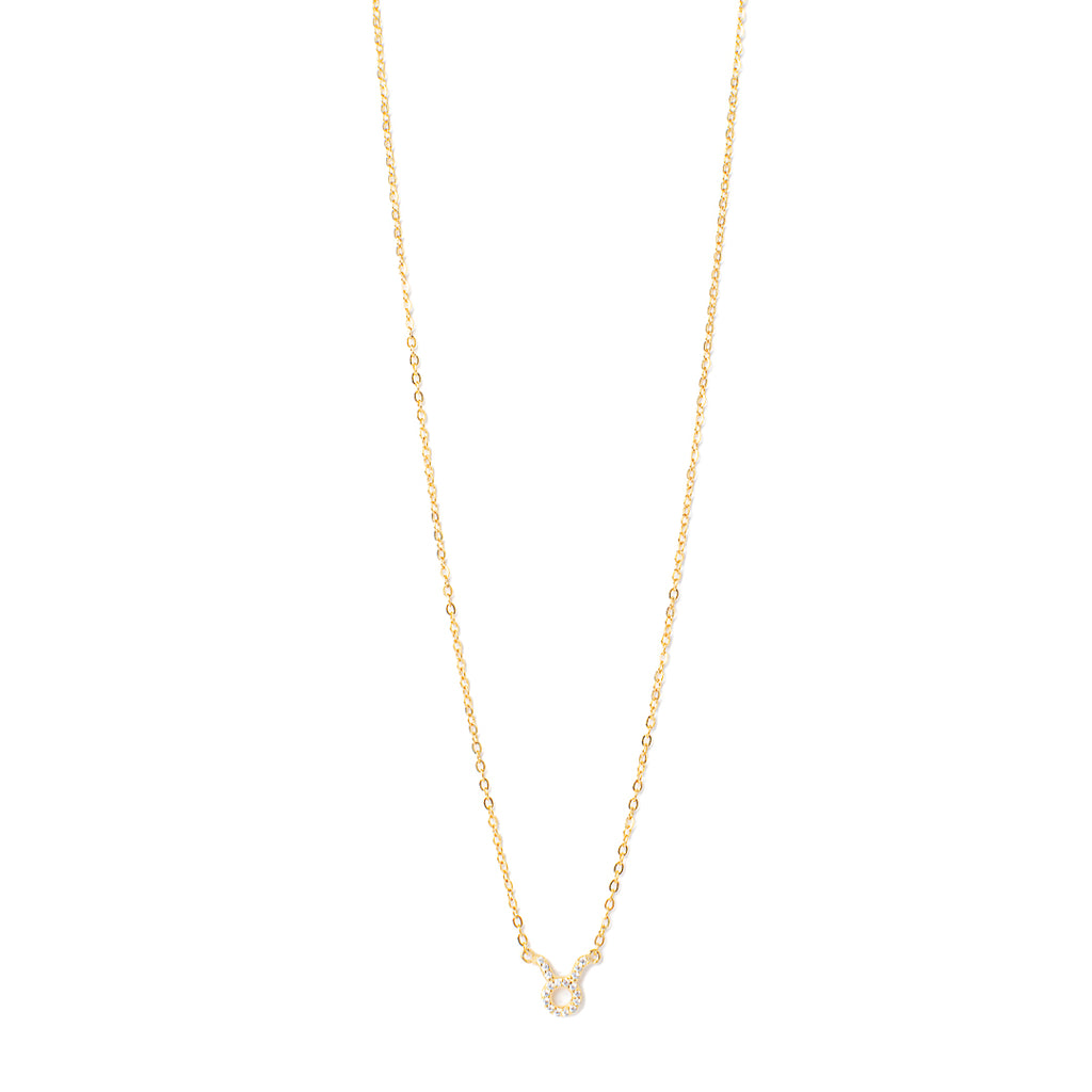 Tauro necklace